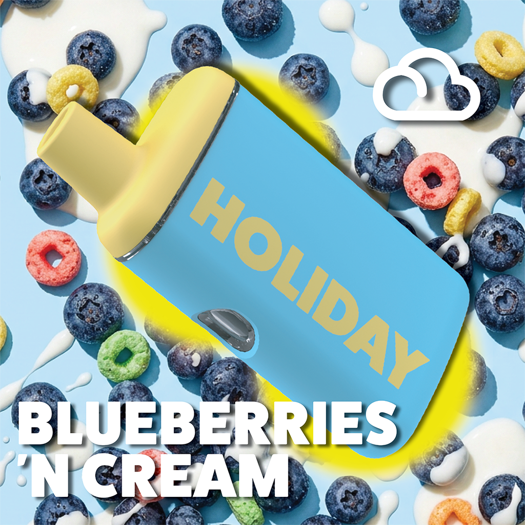 holiday vape airplane mode (2:1) 1g All-In-One Best Vape Juices 2026 Gift FLAVOURS:KIWI PASSION FRUIT GUAVA