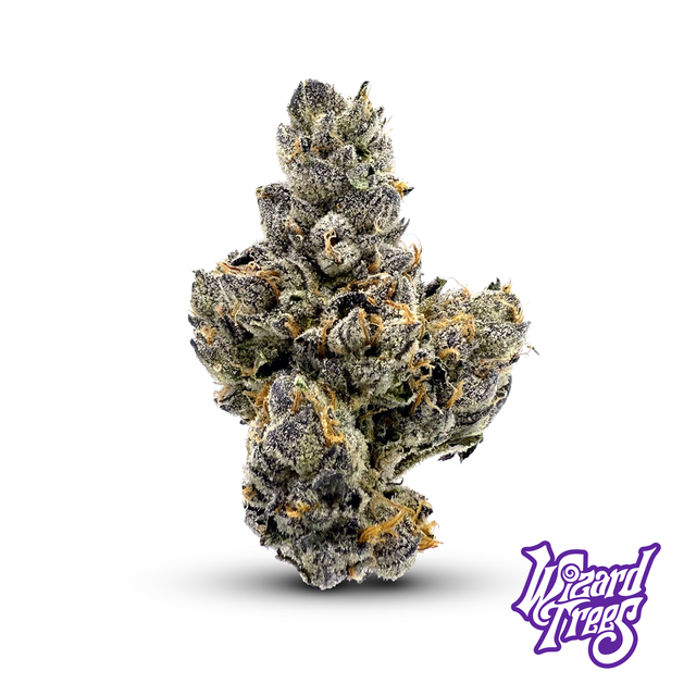 Black Magic Wizard Trees