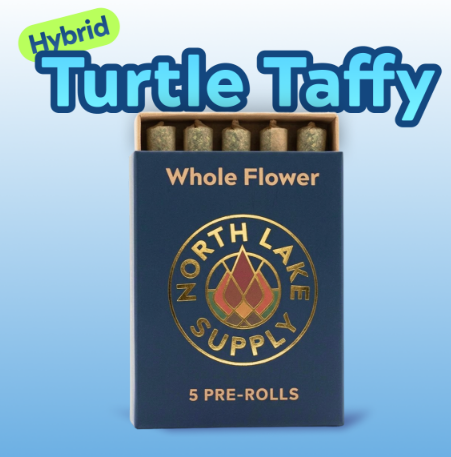 Turtle Taffy North Lake Supply