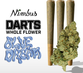 Darts Blue Dream Nimbus