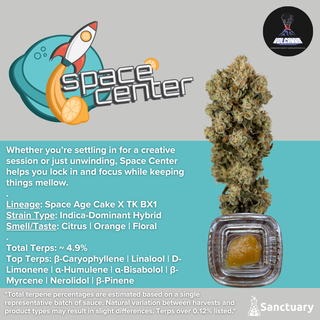 Space Center - Cured Resin Volcanna