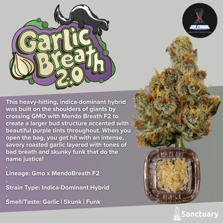 Baller Jar - Garlic Breath 2.0 - Cured Resin Volcanna