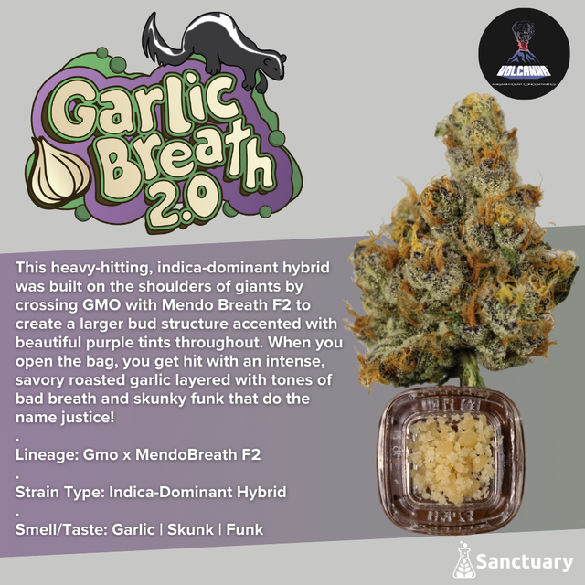 Baller Jar - Garlic Breath 2.0 - Cured Resin Volcanna
