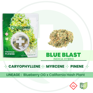 Blue Blast Pure Ohio Wellness