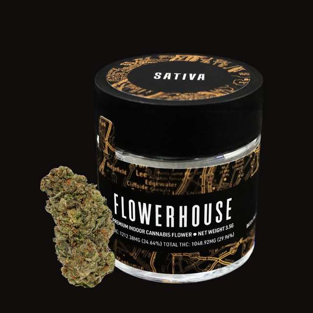 Orange Diesel Flowerhouse