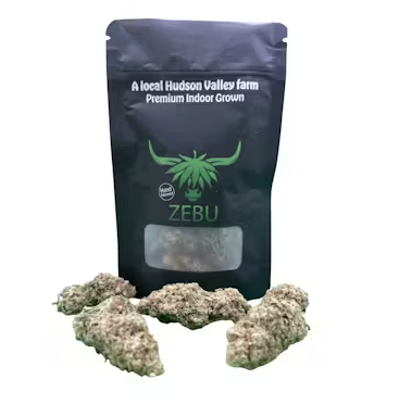 Jelly Donuts Zebu
