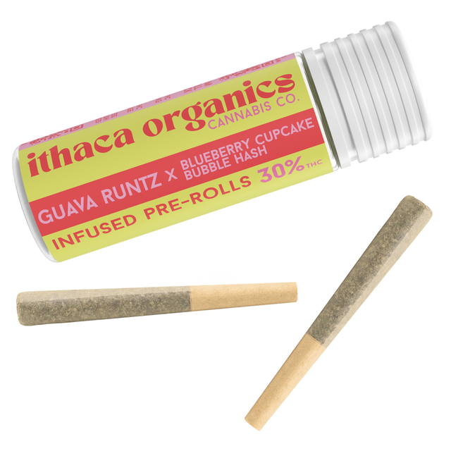 Guava Runtz x Blueberry Cupcake Ithaca Organics