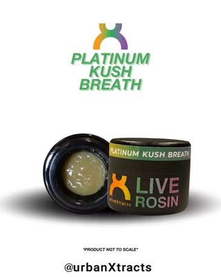 Platinum Kush Breath UrbanXtracts