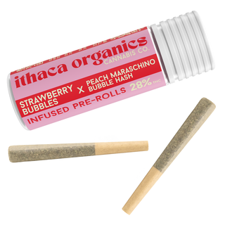 Strawberry Bubbles x Peach Maraschino Ithaca Organics