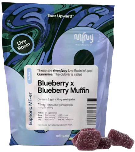 Blueberry x Blueberry Muffin MFNY