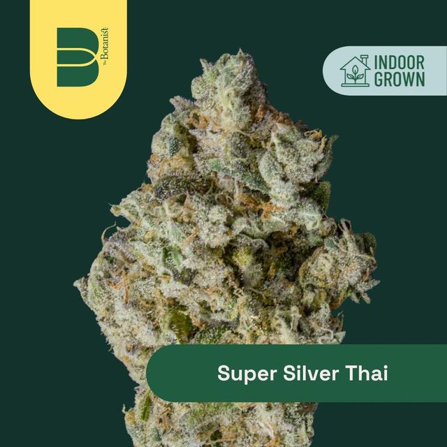 Super Silver Thai #15 The Botanist