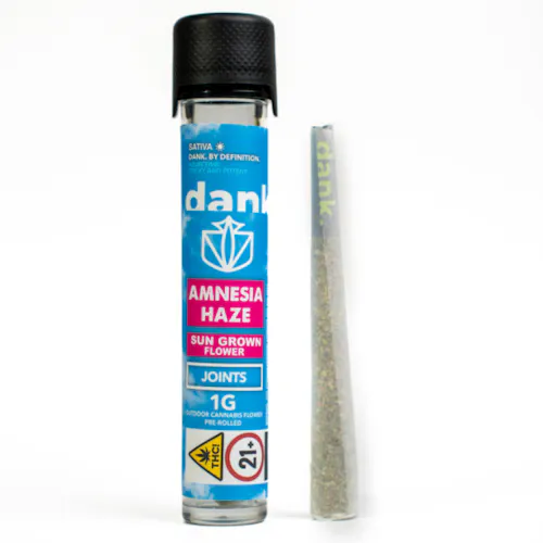 Amnesia Haze Dank By Definition