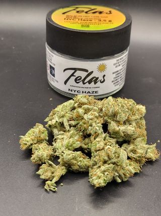 NYC Haze Felas