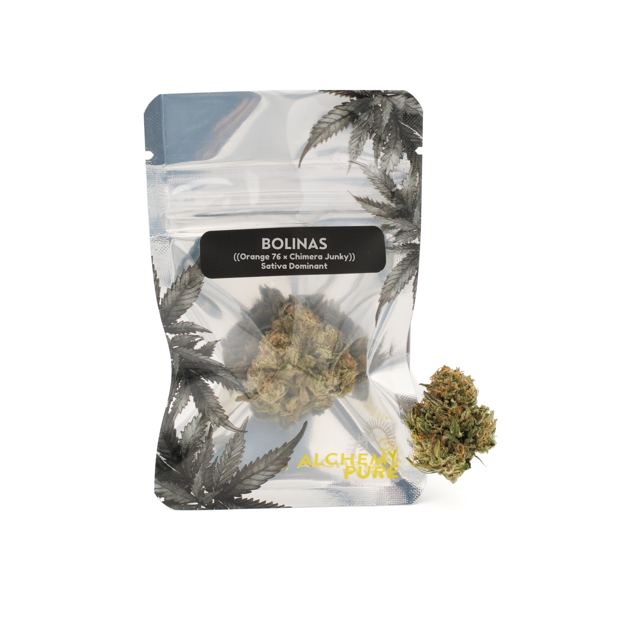 Bolinas Alchemy Pure
