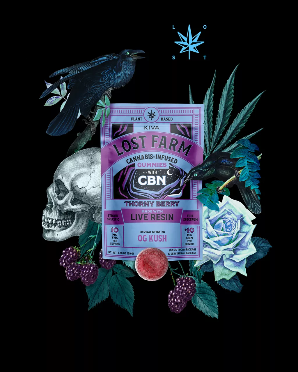 Thorny Berry x OG Kush 1:1 THC:CBN Lost Farm