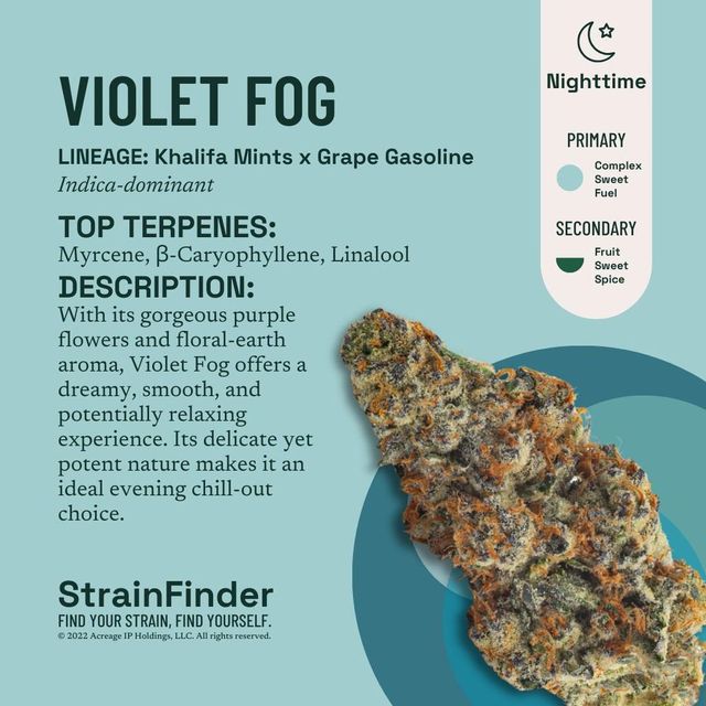 Violet Fog The Botanist