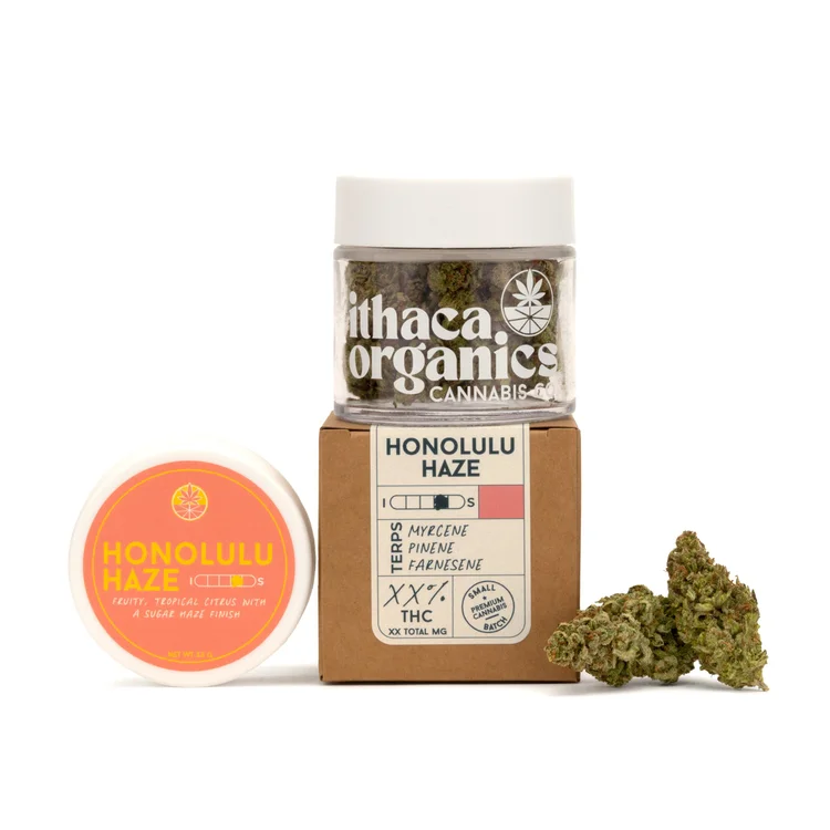 Honolulu Haze Ithaca Organics