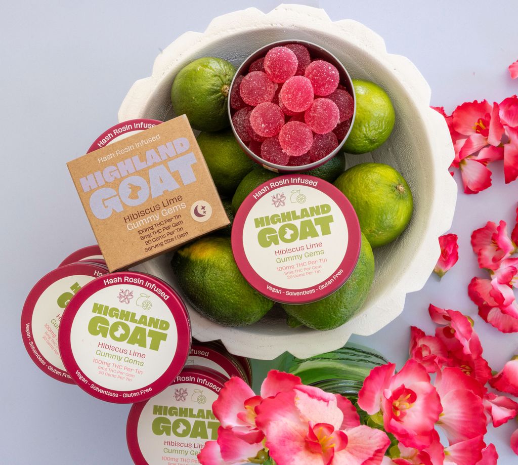 Hibiscus Lime