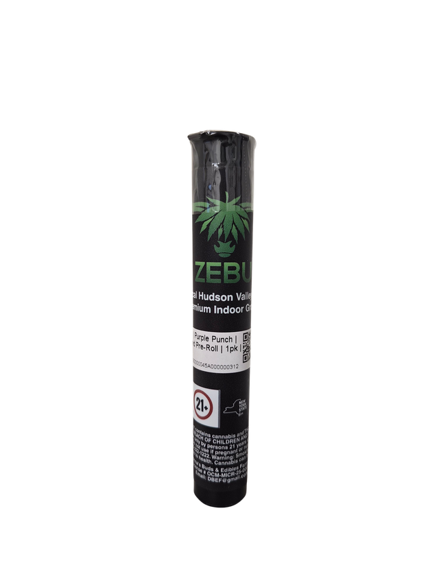Purple Punch Zebu
