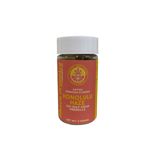 Honolulu Haze Ithaca Organics