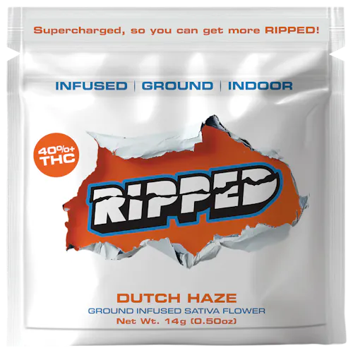 Dutch Haze Ripped
