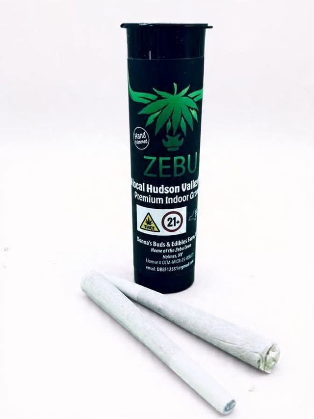 Purple Punch Zebu
