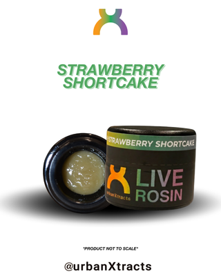 Strawberry Shortcake UrbanXtracts