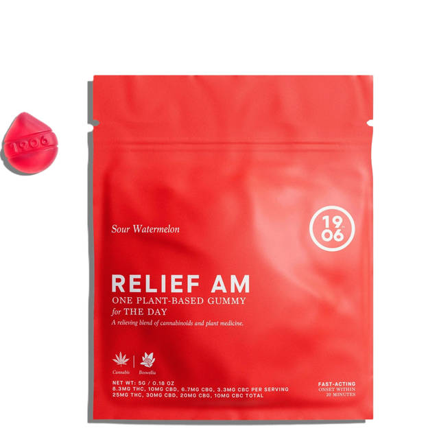 AM Relief 1906