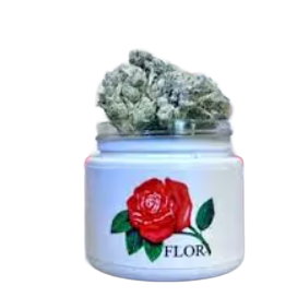 Sour OG Flor