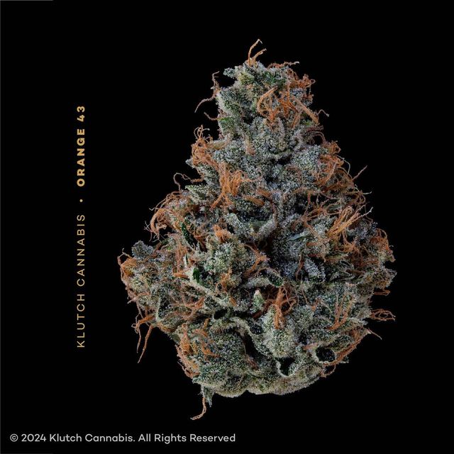 Orange 43 Klutch Cannabis