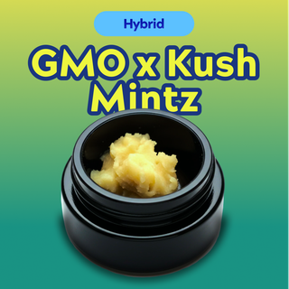 GMO x OG Kush Mintz North Lake Supply