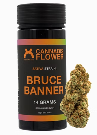 Bruce Banner urbanXtracts