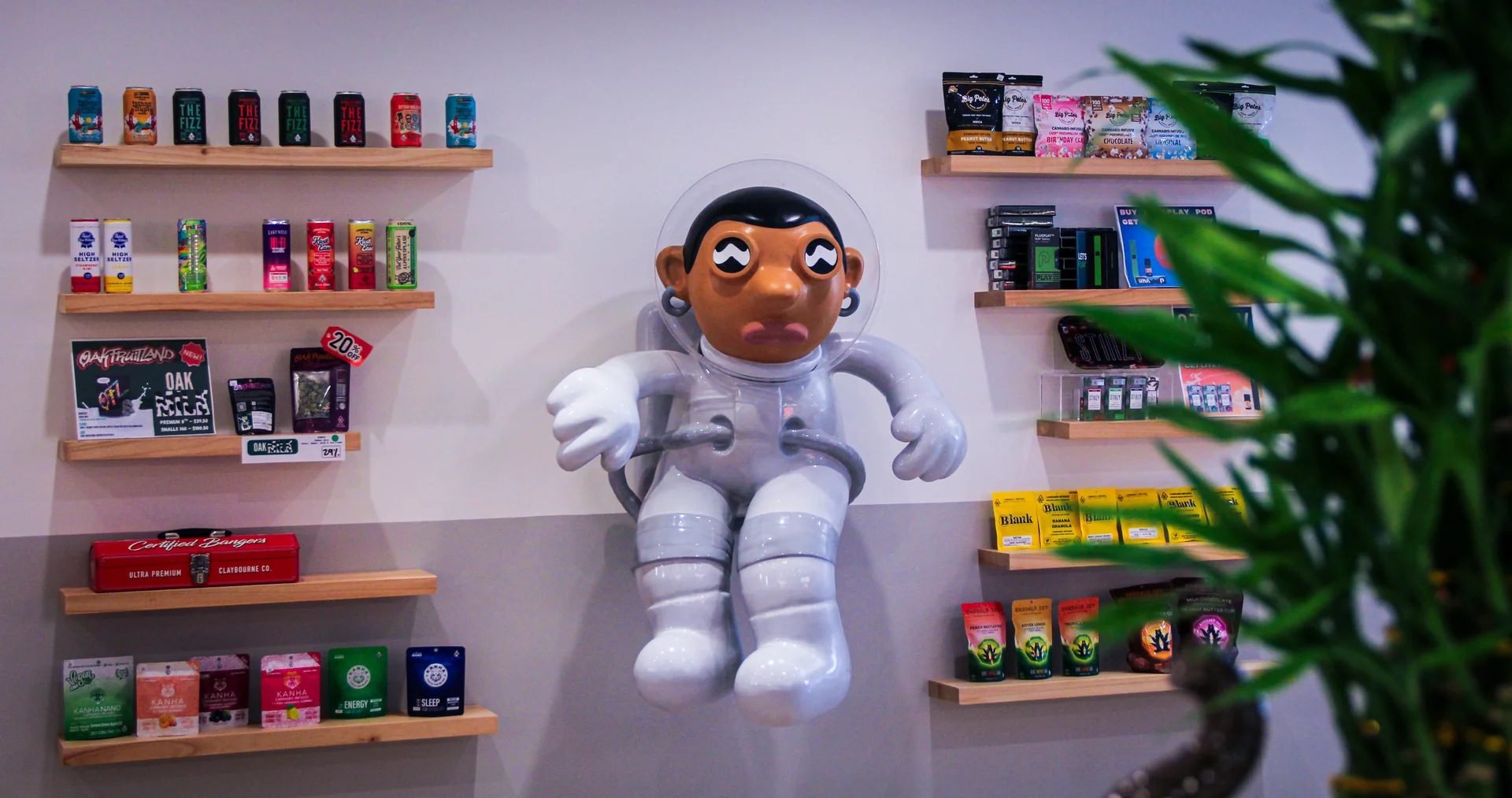 Store Image 3