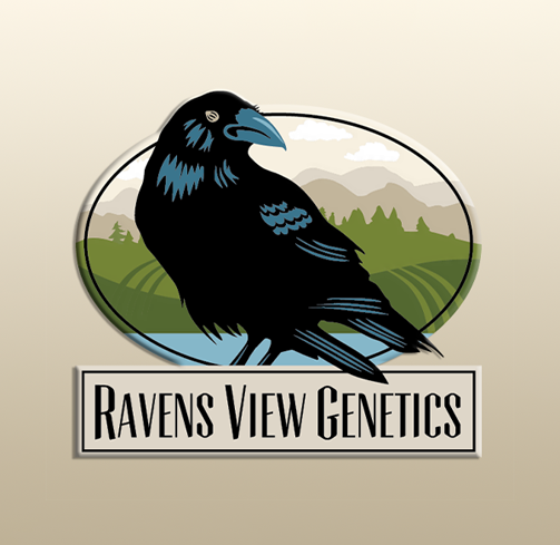 Double OG Chem Ravens View Genetics