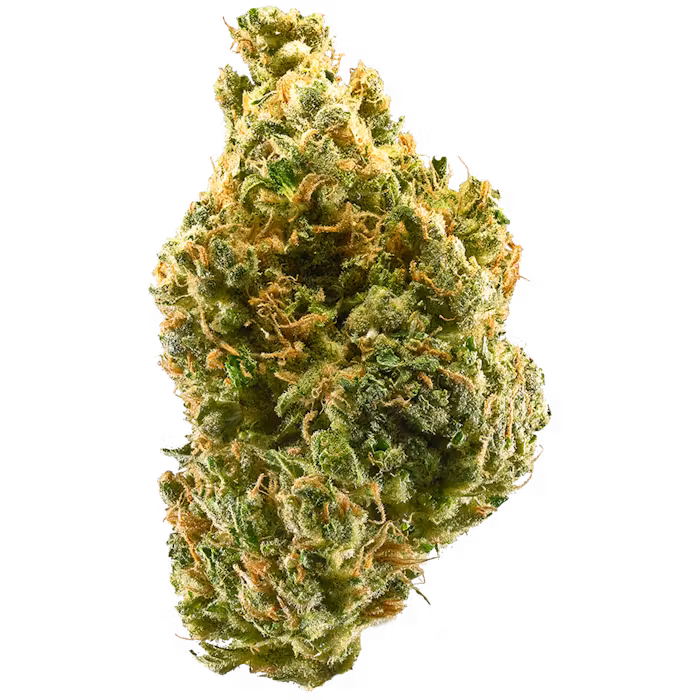 Tangie Upstate Retreat
