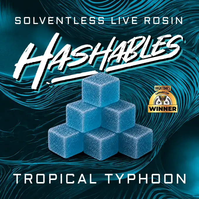Tropical Typhoon Hashables