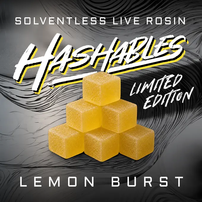 Lemon Burst Hashables