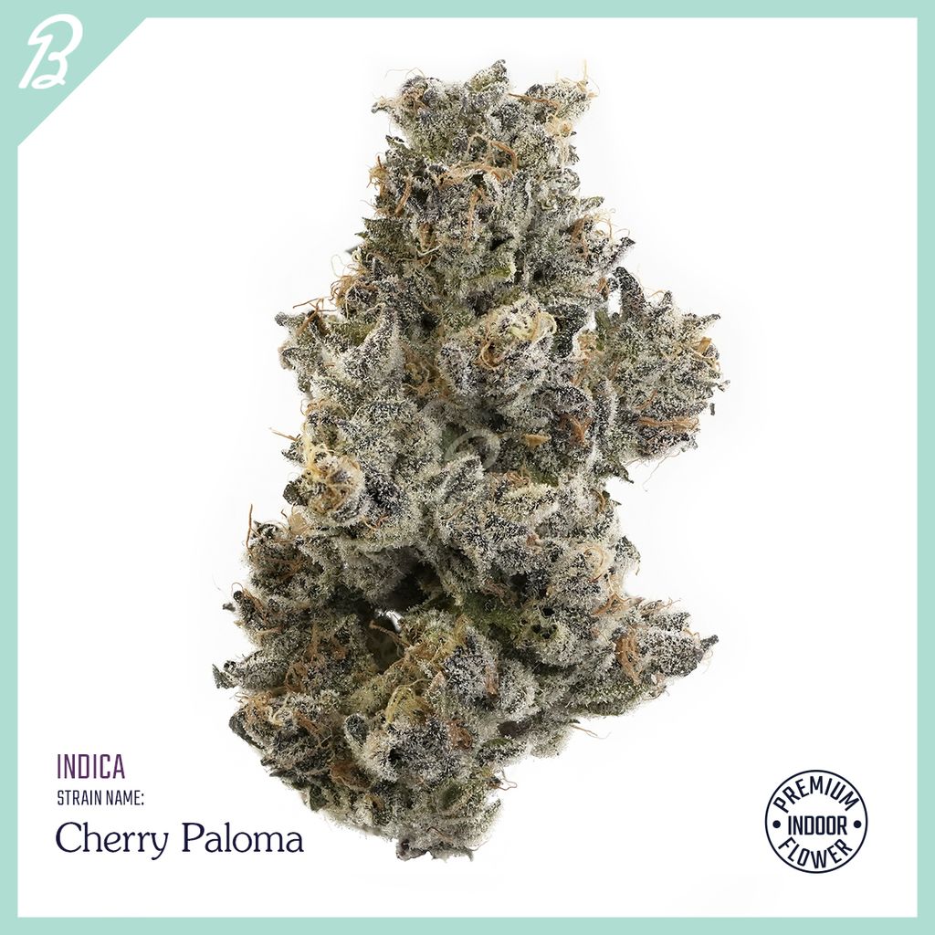Cherry Paloma