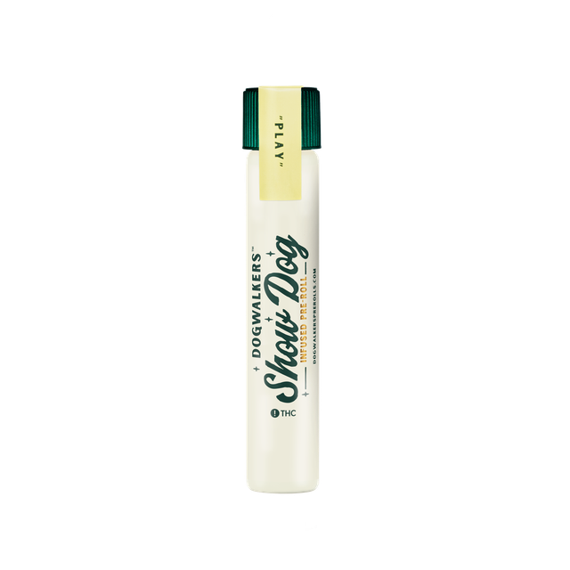 Tangerine Haze Diamond Dogwalkers Tangerine Haze Diamond Dogwalkers
