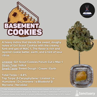 Basement Cookies - Cured Resin Volcanna
