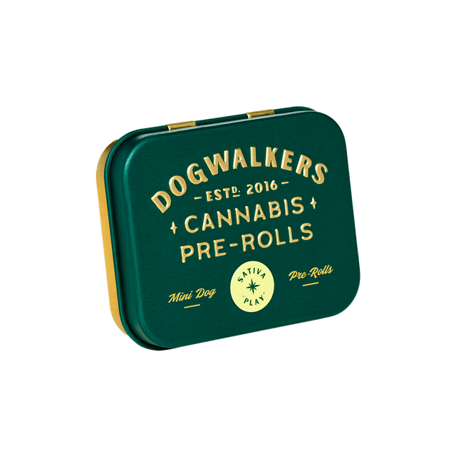 Durban Z | Dogwalkers
