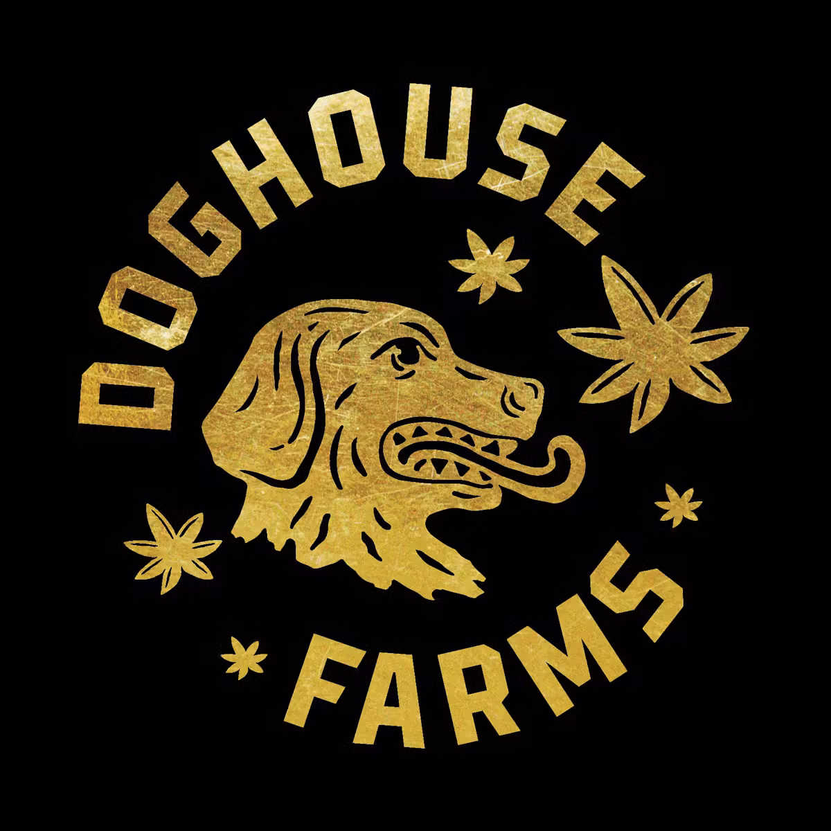 Nerve Gas Doghouse Farms Nerve Gas Doghouse Farms