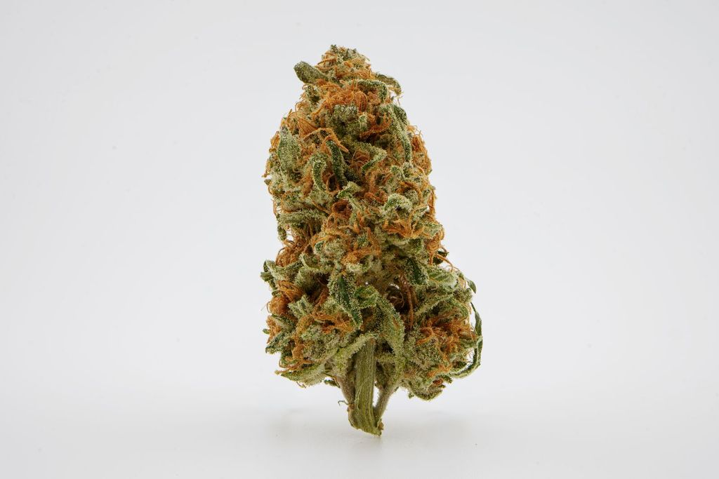Tropical Cooler