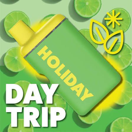 Day Trip Holiday