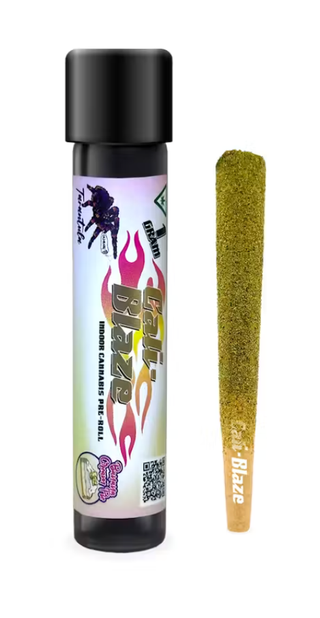 Banana Cream Pie Tarantula Cali Blaze
