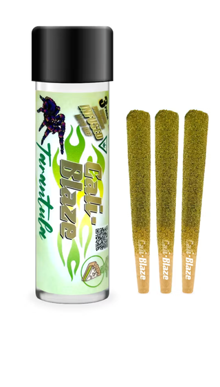 Key Lime Pie Tarantula Cali Blaze