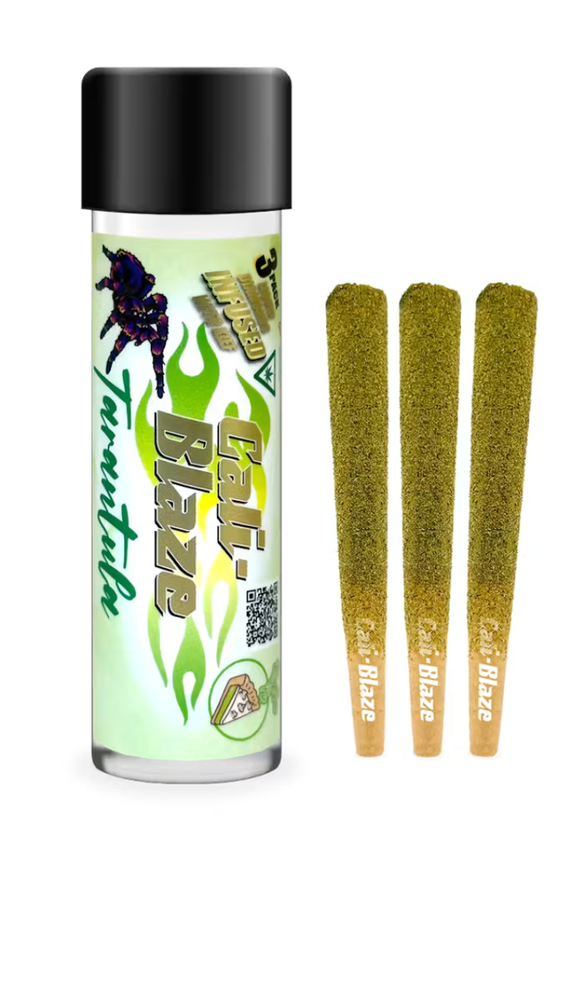 Key Lime Pie Tarantula Cali Blaze