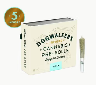 B Scout Infused 5pk Dogwalkers