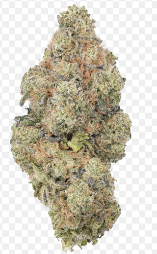 HashBurger Mayflower Medicinals