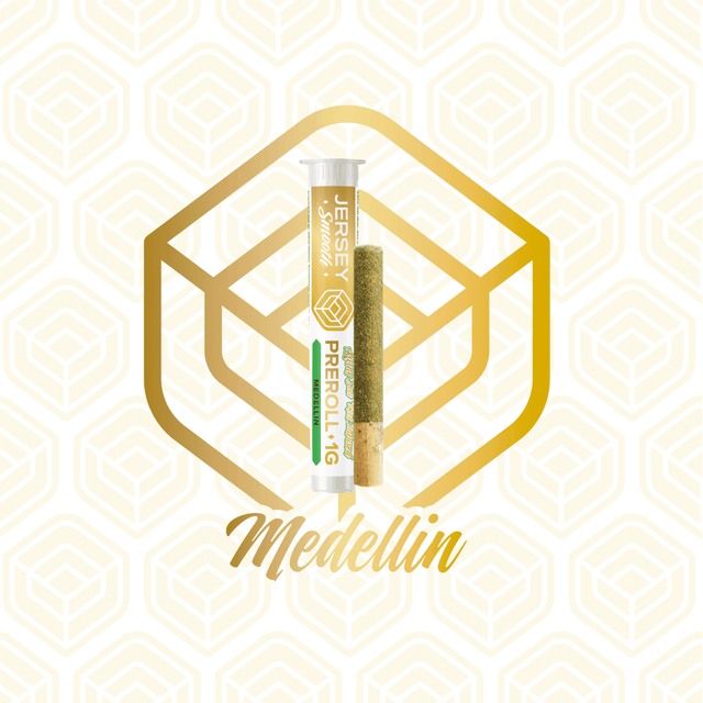Medellin Jersey Smooth Medellin Jersey Smooth